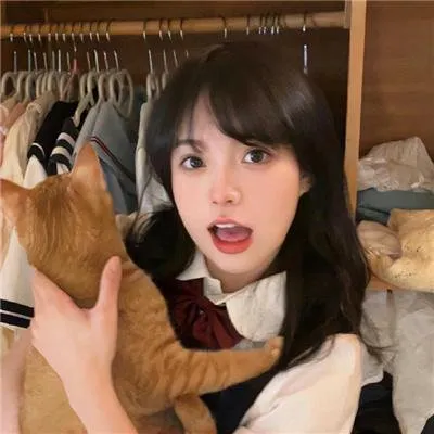 最近韩国hd免费观看国语