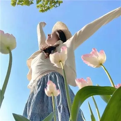 噼里啪啦国语完整高清在线播放TS手机免费观看