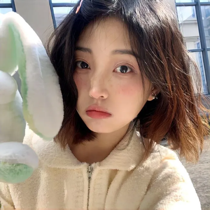 进击的巨人最终季第22集-动漫免费在线观看-高清完整版